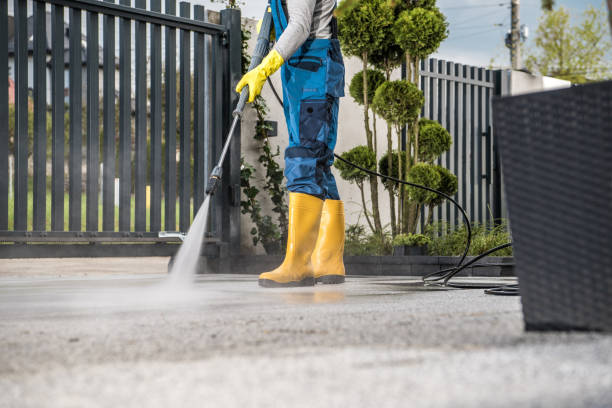 Best Roof Pressure Washing  in Rustburg, VA