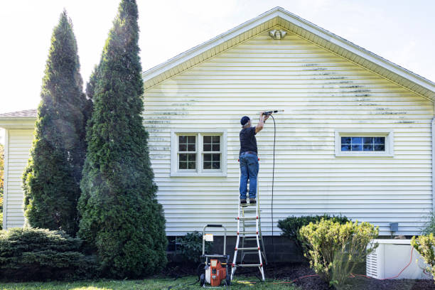 Best Best Pressure Washing Companies  in Rustburg, VA